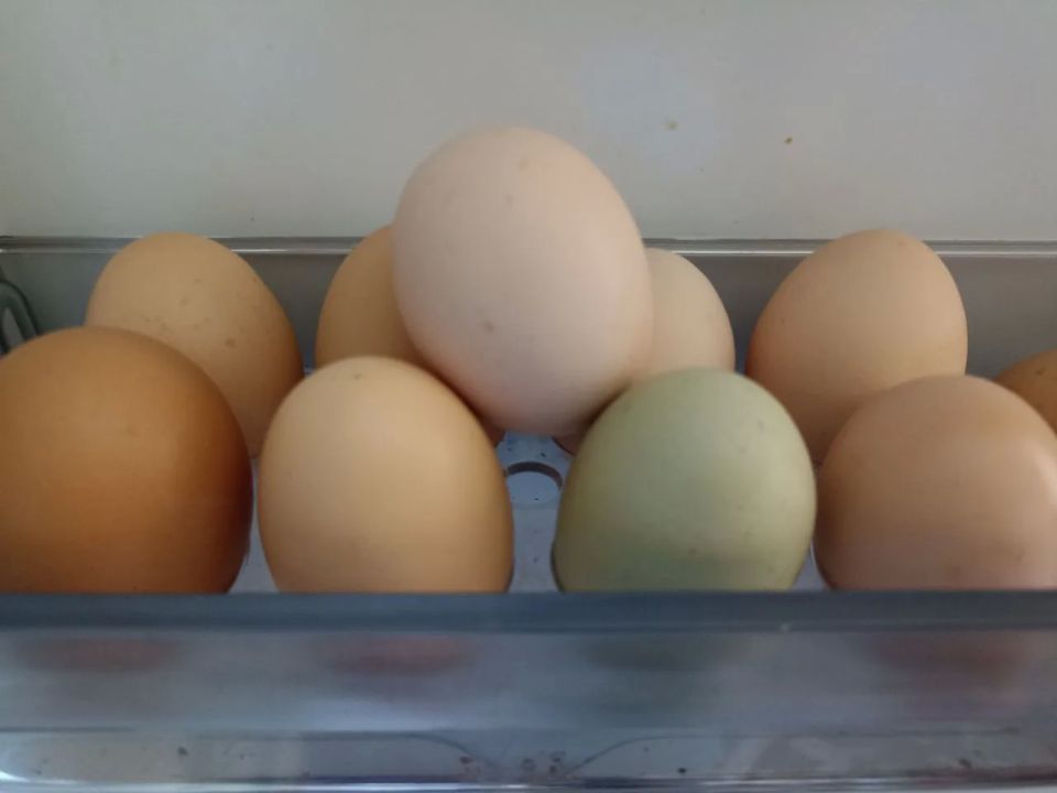 � ������� ������� �� ���� ������� ���� ���������� �� 26,3%