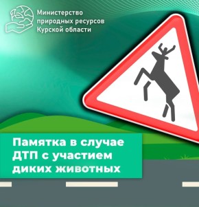 ������� � ������ �������-������������ ������������ � �������� ����� ��������