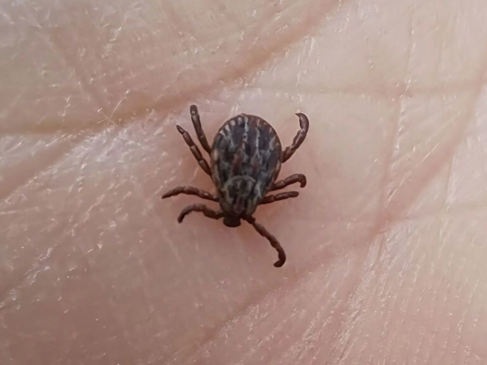 � ������ ������ ����� ��������� ����� ���������� �� ������ ������