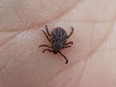 � ������ ������ ����� ��������� ����� ���������� �� ������ ������