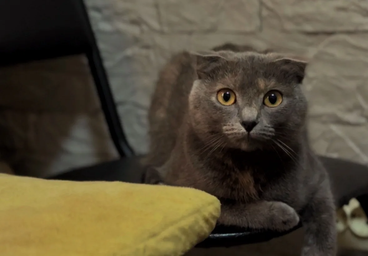 Сегодня с Александром Игоревичем Шаповаловым, начальником главного управления по взаимодействию с институтами гражданского общества, по поручению губернатора Курской области Александра Хинштейна поздравили с 85-летним... Сегодня с Александром Игоревичем Шаповаловым, начальником главного управления по взаимодействию с институтами гражданского общества, по поручению губернатора Курской области Александра Хинштейна поздравили с 85-летним...