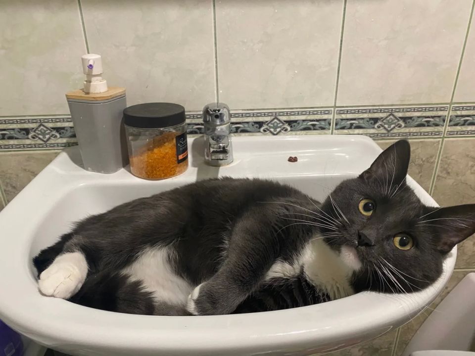 � ������ ��-�� ��������� �������� ��������� �������� ���� �� ���� ������ � ������ �������������� �������