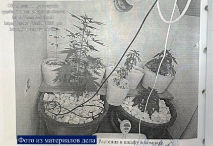 Курянин получил 6 лет за напечатанные на 3D-принтере бомбы и коноплю