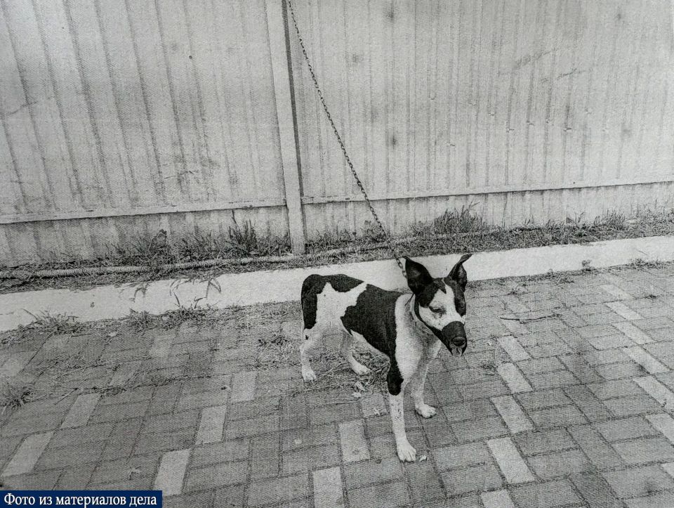 ������� ������� 1 ��� ������� �� ������� ����