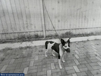 ������� ������� 1 ��� ������� �� ������� ����