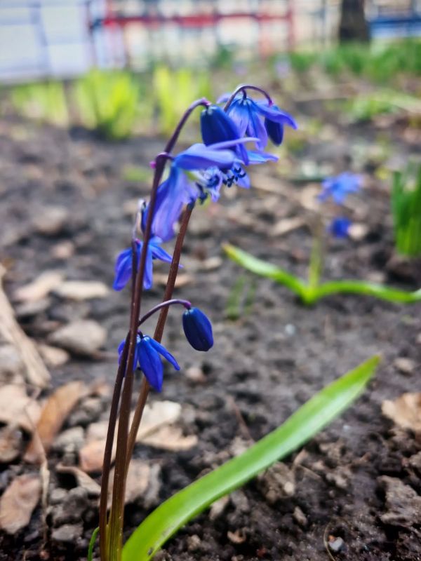 ������ ����!. �������, � �������, 16 ������, �� �������� ������������� ��������� ���, � ������� ������� ������� � ������������