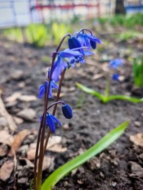 ������ ����!. �������, � �������, 16 ������, �� �������� ������������� ��������� ���, � ������� ������� ������� � ������������