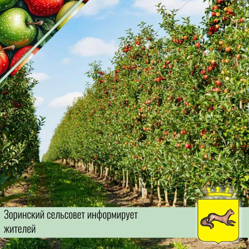 � 14 ������ � ��������� ���� ����� ������� � ������������ ��������������� ��������� (������ TVPG1.0)