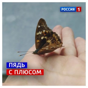 16 ������, �������. ���������� ������� ��������� ����������