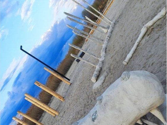 ������ ������� ���������� ���������� ������ �� ��������������� ���������� 6-�� �����������