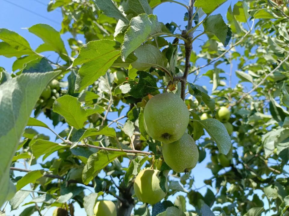 �������� �� ����� ��������� ������� ������ � ��������� ������