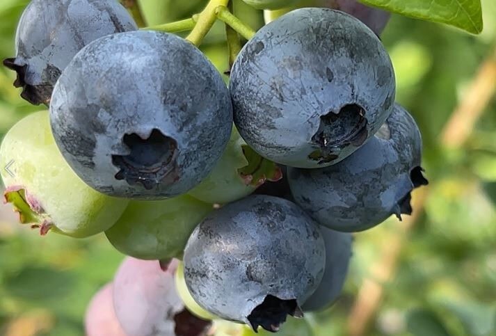 ������ �������� ������ ����� ������������ ������ ������ ����?