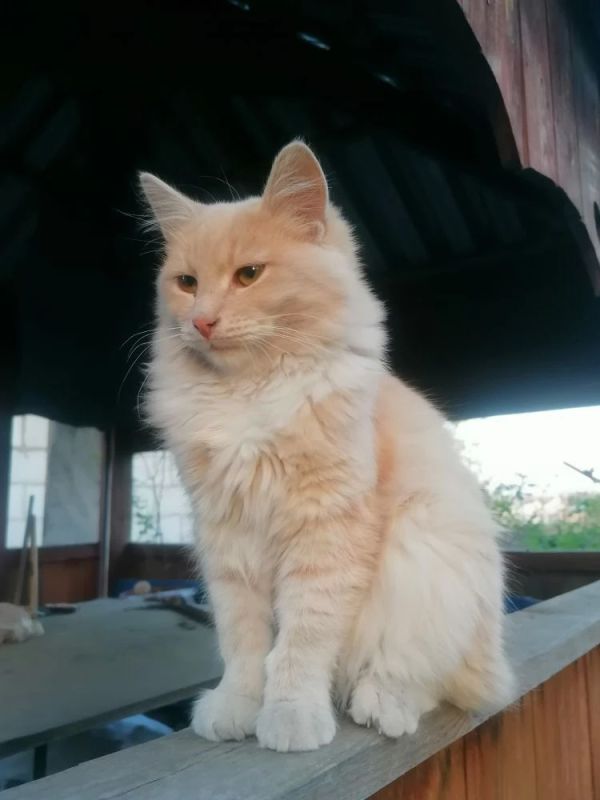 ������ ����!. ������� ��������� ������������ �������� ������ � ��������� �����