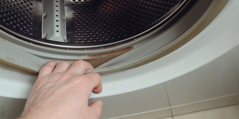 ��� �������� �� �����: ���������� ������ ������� ��������!