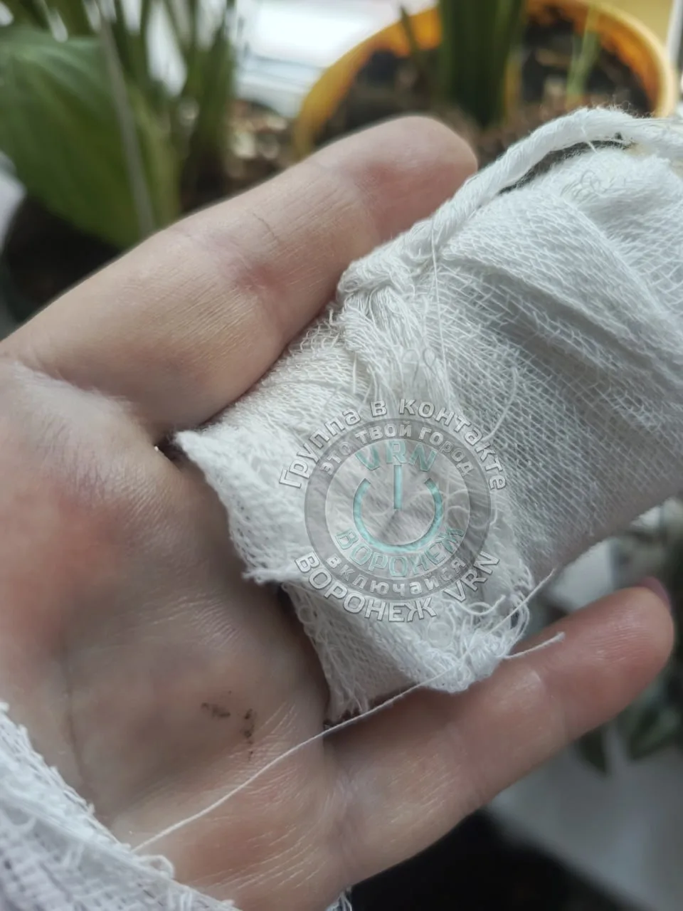 В Воронеже женщина с маленьким внуком упала из-за резко затормозившего автобуса и сломала палец В Воронеже женщина с маленьким внуком упала из-за резко затормозившего автобуса и сломала палец