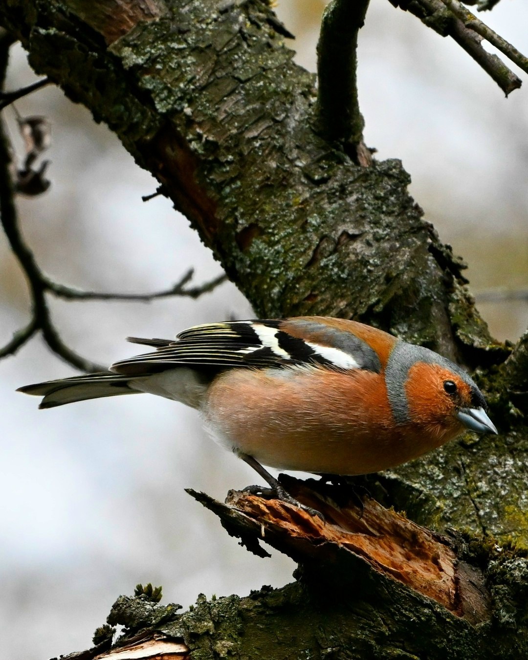 Доброе утро, Пристенский район!
