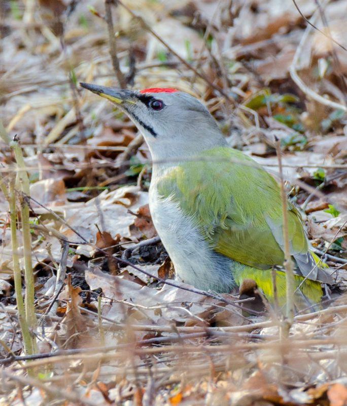 � ������ �����!. ����� ����������� ���� ������� ����� �������, ����� � �����