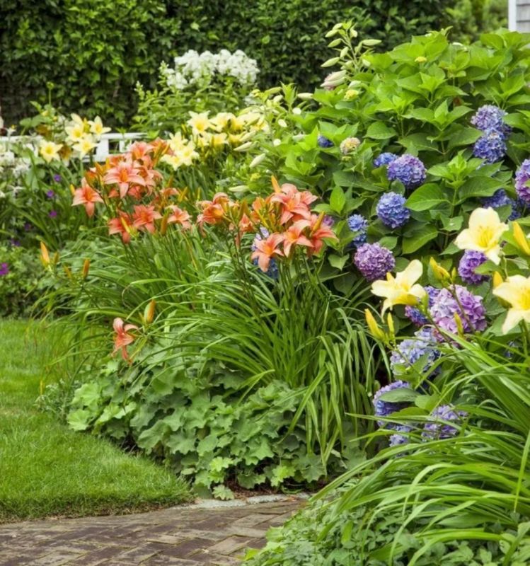 ������������ ���������: ��� ������� ����������� ��������� ���������� � ����������� � �����������