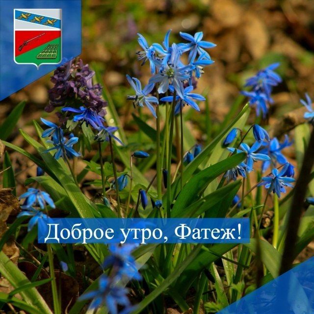 ������ ����. ��� � ��������� ������������ �������, ������� ������ �������� � �����