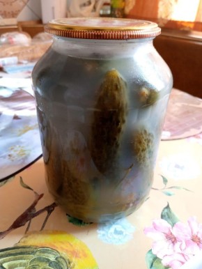 �������, �� ������� ������� ������ ������ ����: ��� ���������� �����