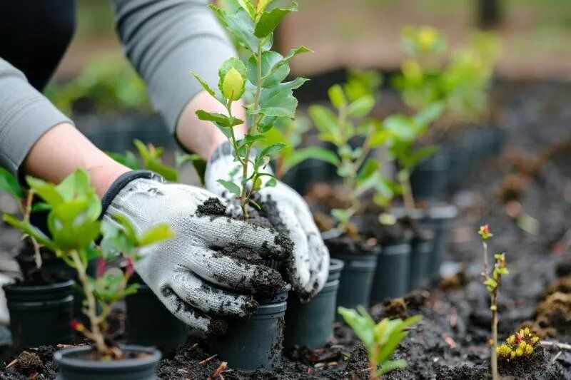 ��� ������� ��������� ������� ������: �������� ������ ��� ���������