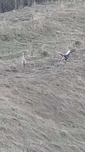 � ������� ������� ����������� �� ����� ������� ����� ��������