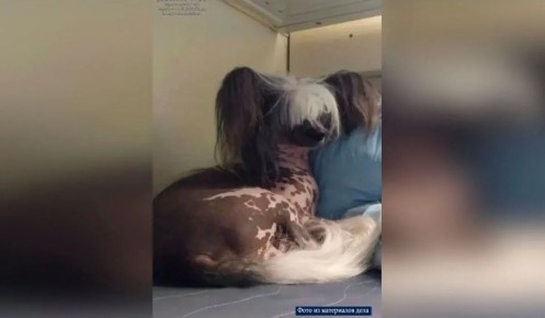 ������� �������� 45 ����� ������ �� ������ ������������ ������