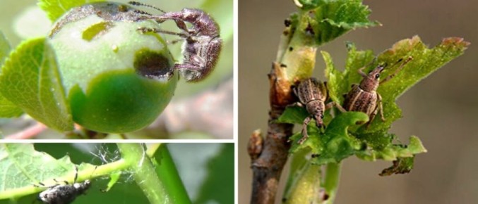 ����� ��������� ������ � �������������: ��������� ���� ������