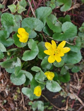 ������ ����!. �������, � �������, 17 ������, �� �������� ������������� ��������� ���, � ������� ������� ������� � ������������