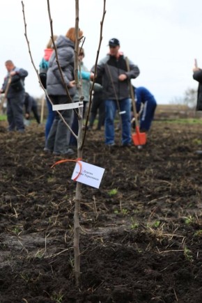 �� �������� ���� � ������� �������� ���������� ������������� �������� ������� ������� �����, � ������ �������� ������ ������� ��������� ����