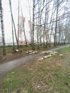 �� ��. �. �������� � ������ ��������� ���� ��������� ���� ����� ����� �������