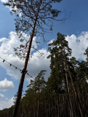 ����������� ����. ���������� ���� ����� ������� ���� � ������ ��� ���� ������