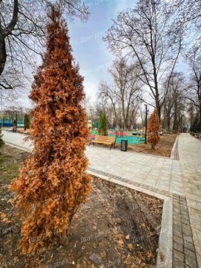 � ������ � ����� �������� ������� ���, ���������� � ������� ����