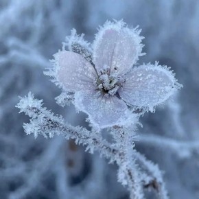 � ������� ������� ������ ��������� ������ ���� � ������ ��������� �� -2 ��������