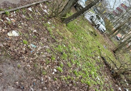 ������ ������ ���� ������