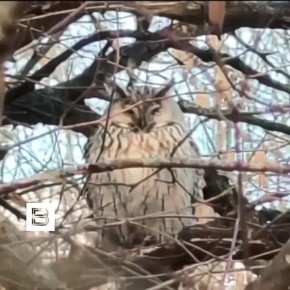 ������� ��������: ������� ���� � � ������