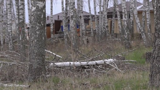 ����� ������ � ������� ������ ������� �� ������� ����������� ������� �������