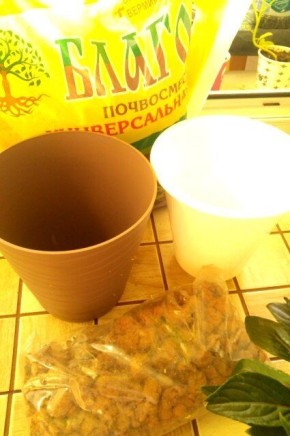 ��� ��������� ��������� �� ���������� ������� ����� �������