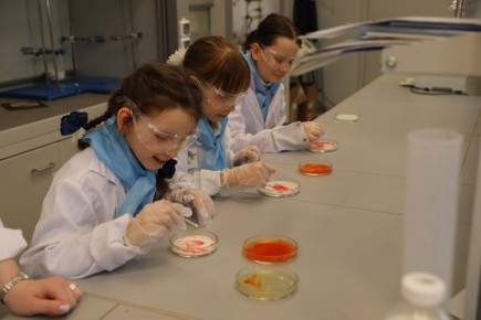 ���������� ���������� �� �������� �� ���������� ��������������� �����������