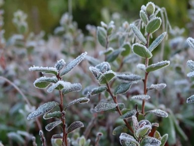 � ������� ������� 22 ������ ��������� �� 2 �������� ������