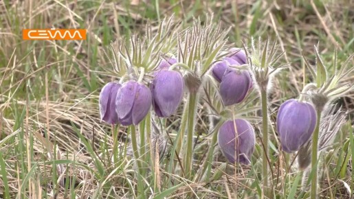 #�������. ����� �� ����� ��� ������� - ����� �� ����� ��������� ���� ������