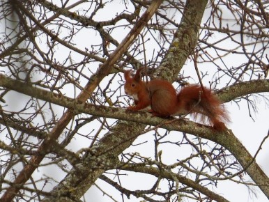 ������ ����, ����������� �����!