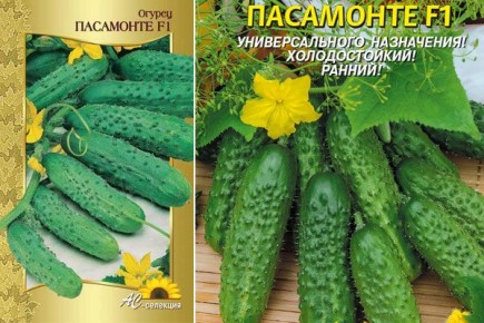 ������ ���������: ������� ��������� ����� � �������� ������