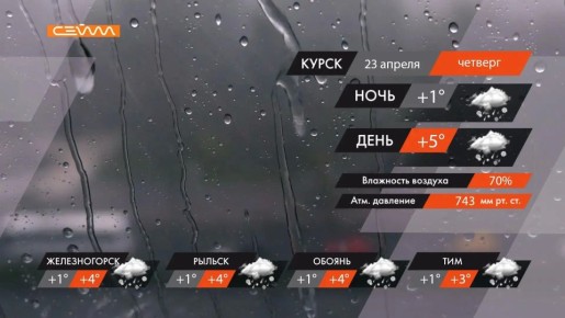 �����, ������ ���� � ������� ����� ��������� � ������� ������� 23 ������