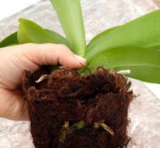 ��������� �������: ��������� ��� ��� ��������� ������