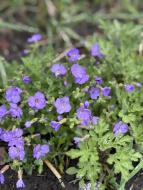 ������ ����!. �������, � �����, 22 ������, �� �������� ������������� ��������� ���, � ������� ������� ������� � ������������