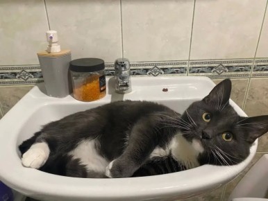 ������ � �/� ������ ������ ������� �������� ���������� �������� ����