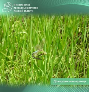 �� ���������� ������� ������� ������ �������� ������� ������������� �������� �������� ����� � ������������ ���� ������� �����