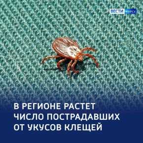 ����� ������������: � ������� � ������ ������ ����������