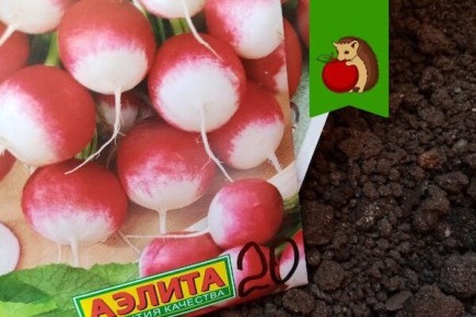 ����� ����� ������� �����: ������� ��������� ������